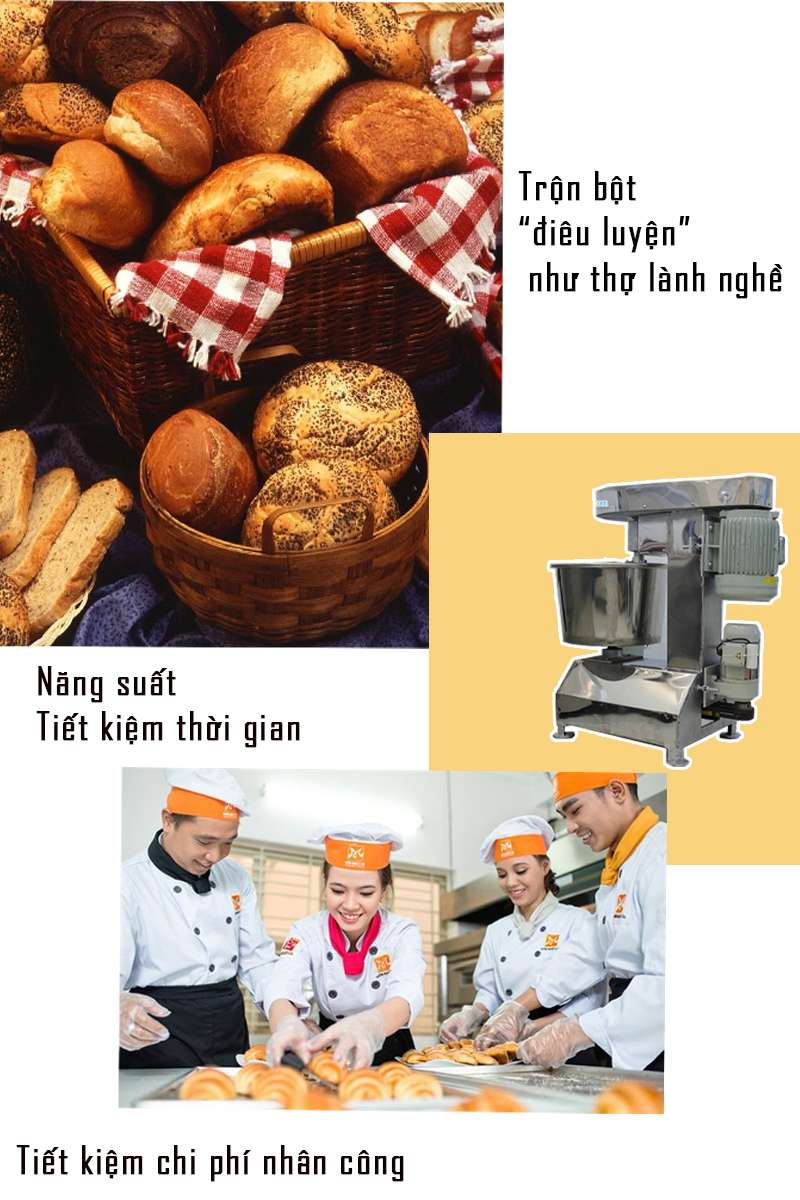đặc điểm nổi bật