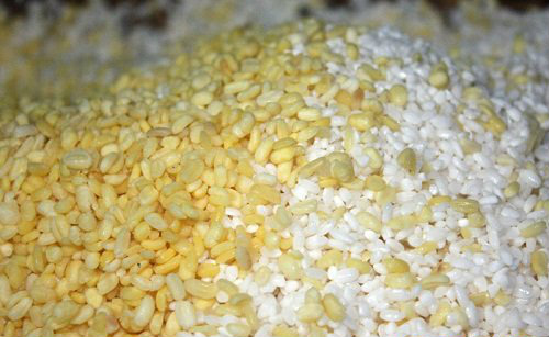 Trộn lẫn đậu xanh và gạo